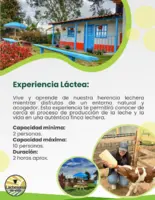 Experiencia Láctea