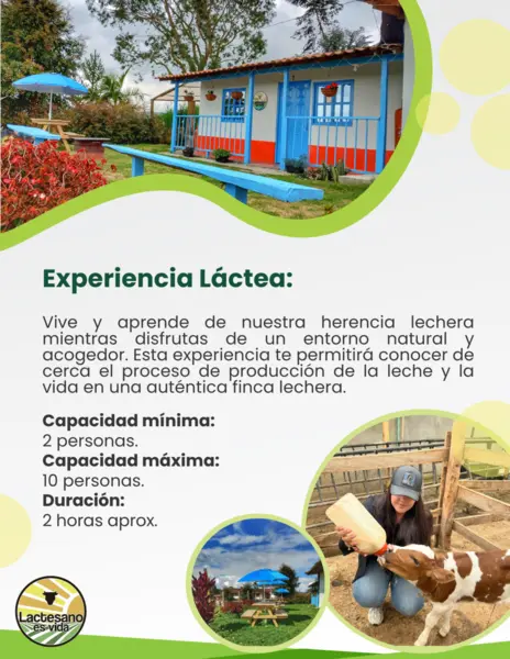 Experiencia Láctea